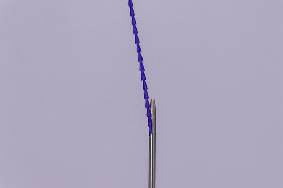 Le fil de levage 4D 6D 12D de dent absorbable de PDO PCL PLACL a moulé