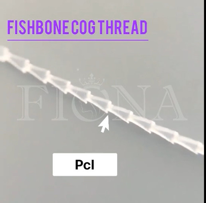 Le fil de dent de bâti de PDO PCL Fishbone pour le contrôle de visage arment le levage