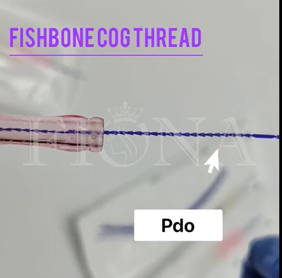 Fil de dent de bâti de Fishbone