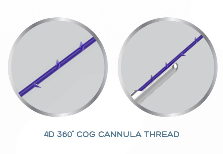 Ascenseur 19G-100mm de fil de Cannulla de DENT de PDO PCL PLLA 4D pour le levage de visage non chirurgical